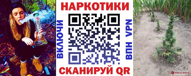 Купить наркотик Дубовка Канабис  Псилоцибиновые грибы  COCAIN  Гашиш  Меф мяу мяу 