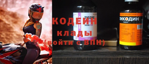 гидра Вяземский