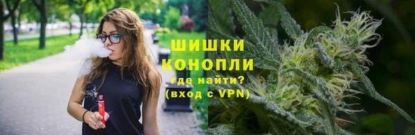 гидра Вяземский