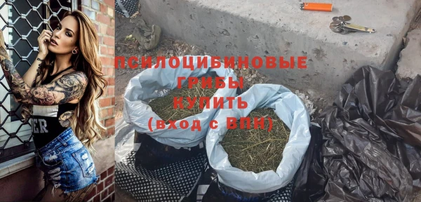 индика Вязники
