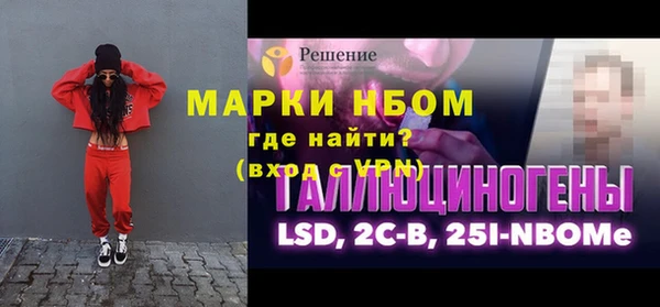индика Вязники