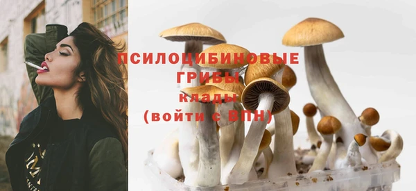 jwh Гусь-Хрустальный