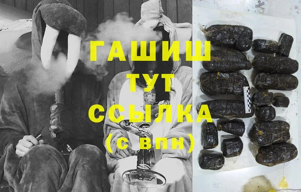 гидра Вяземский