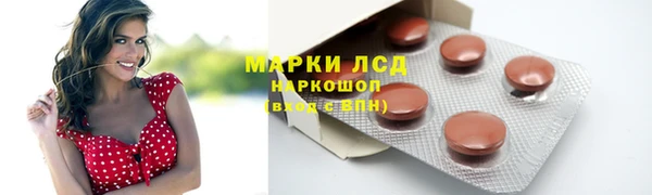 гидра Вяземский