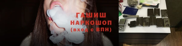 гидра Вяземский
