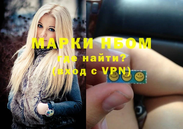 индика Вязники