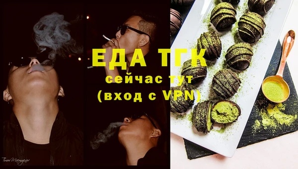тгк Гусев