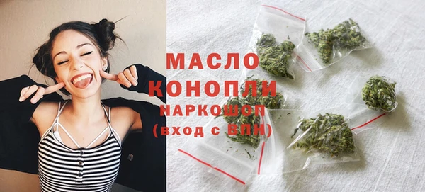 тгк Гусев