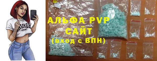 тгк Гусев