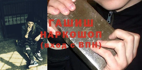 гидра Вяземский