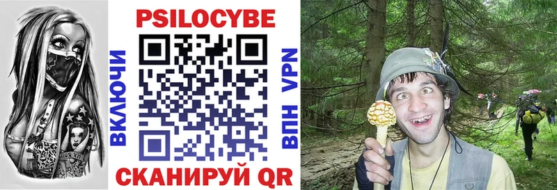 купить   кракен вход  Галлюциногенные грибы мицелий  Дубовка 